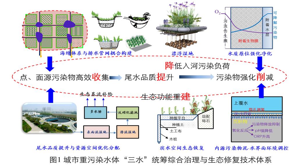 pc加拿大预算预测飞飞新人权益荣获8